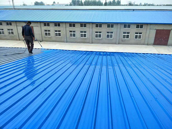 定南 彩钢瓦喷漆翻新工业厂房、仓库